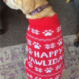 Joyful Red Dog Sweater - Holiday Paws